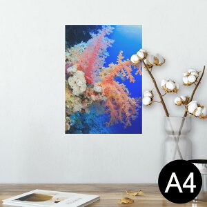 |X^[ EH[XebJ[ V[XebJ[  210×297mm A4 ʐ^ tHg  CeA   wall sticker poster 003341 C@ʐ^@iF@i