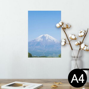 |X^[ EH[XebJ[ V[XebJ[  210×297mm A4 ʐ^ tHg  CeA   wall sticker poster 003576 i@iF@ʐ^