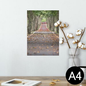 ポスター ウォールステッカー シール式ステッカー 飾り 210×297mm A4 写真 フォト 壁 インテリア おしゃれ 剥がせる wall sticker poster 022910 風景 木 葉っぱ
