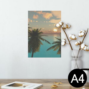 |X^[ EH[XebJ[ V[XebJ[  210×297mm A4 ʐ^ tHg  CeA   wall sticker poster 022958 C@V̖؁@@iF