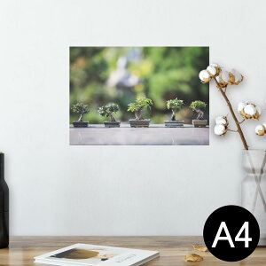 |X^[ EH[XebJ[ V[XebJ[  210×297mm A4 ʐ^ tHg  CeA   wall sticker poster 023001 ~́@A@ʐ^