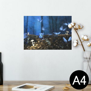 |X^[ EH[XebJ[ V[XebJ[  210×297mm A4 ʐ^ tHg  CeA   wall sticker poster 023261 ̂@X