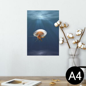 |X^[ EH[XebJ[ V[XebJ[  210×297mm A4 ʐ^ tHg  CeA   wall sticker poster 023477 炰@ʐ^@C