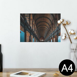 |X^[ EH[XebJ[ V[XebJ[  210×297mm A4 ʐ^ tHg  CeA   wall sticker poster 023515 z@{I@ʐ^