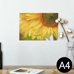 |X^[ EH[XebJ[ V[XebJ[  210×297mm A4 ʐ^ tHg  CeA   wall sticker poster 023602 ԁ@t[@Ђ܂