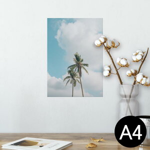 |X^[ EH[XebJ[ V[XebJ[  210×297mm A4 ʐ^ tHg  CeA   wall sticker poster 023646 V̖؁@ā@