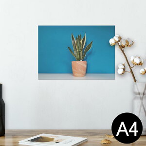 |X^[ EH[XebJ[ V[XebJ[  210×297mm A4 ʐ^ tHg  CeA   wall sticker poster 023685 A@A