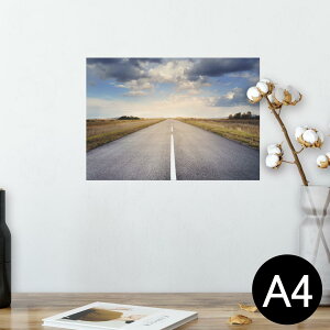 |X^[ EH[XebJ[ V[XebJ[  210×297mm A4 ʐ^ tHg  CeA   wall sticker poster 023726 H@ʐ^@i