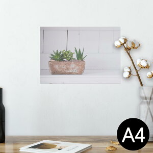 |X^[ EH[XebJ[ V[XebJ[  210×297mm A4 ʐ^ tHg  CeA   wall sticker poster 023734 A@Aؔ@ʐ^