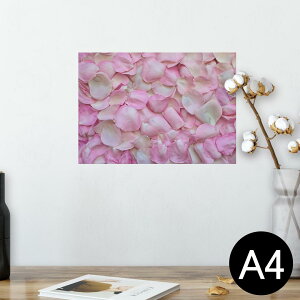 |X^[ EH[XebJ[ V[XebJ[  210×297mm A4 ʐ^ tHg  CeA   wall sticker poster 023743 Ԃт@t[