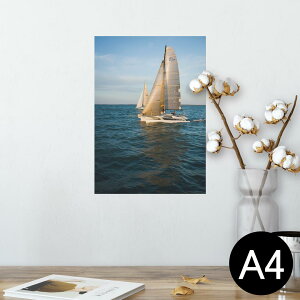 |X^[ EH[XebJ[ V[XebJ[  210×297mm A4 ʐ^ tHg  CeA   wall sticker poster 023757 bg@ʐ^@i