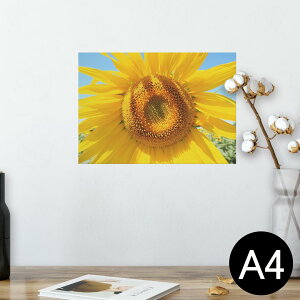 |X^[ EH[XebJ[ V[XebJ[  210×297mm A4 ʐ^ tHg  CeA   wall sticker poster 023849 ԁ@t[@Ђ܂