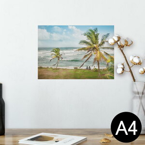 |X^[ EH[XebJ[ V[XebJ[  210×297mm A4 ʐ^ tHg  CeA   wall sticker poster 023906 V̖؁@C