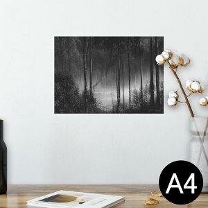 |X^[ EH[XebJ[ V[XebJ[  210×297mm A4 ʐ^ tHg  CeA   wall sticker poster 025587 Xс@mN@