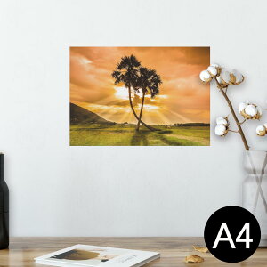 |X^[ EH[XebJ[ V[XebJ[  210×297mm A4 ʐ^ tHg  CeA   wall sticker poster 025622 V̖؁@v@R@iF