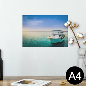 |X^[ EH[XebJ[ V[XebJ[  210×297mm A4 ʐ^ tHg  CeA   wall sticker poster 025633 C@{[g@@i