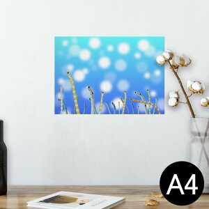 |X^[ EH[XebJ[ V[XebJ[  210×297mm A4 ʐ^ tHg  CeA   wall sticker poster 025640 `AiS@C@