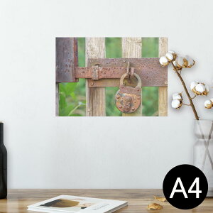 |X^[ EH[XebJ[ V[XebJ[  210×297mm A4 ʐ^ tHg  CeA   wall sticker poster 025650 싞@@