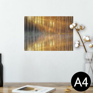 |X^[ EH[XebJ[ V[XebJ[  210×297mm A4 ʐ^ tHg  CeA   wall sticker poster 025679 Xс@R@