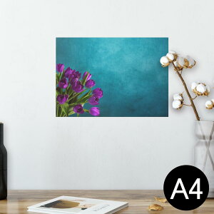 |X^[ EH[XebJ[ V[XebJ[  210×297mm A4 ʐ^ tHg  CeA   wall sticker poster 025717 ԁ@`[bv