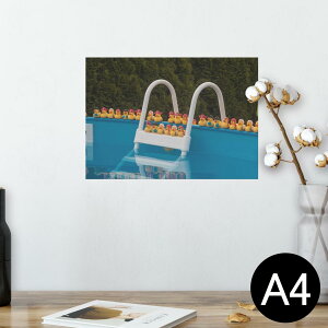 |X^[ EH[XebJ[ V[XebJ[  210×297mm A4 ʐ^ tHg  CeA   wall sticker poster 025719 v[@Ђ@