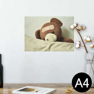 |X^[ EH[XebJ[ V[XebJ[  210×297mm A4 ʐ^ tHg  CeA   wall sticker poster 025770 efBxA@ʂ݁@l`@N}