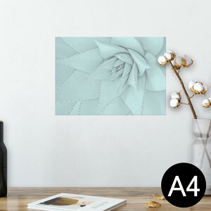 |X^[ EH[XebJ[ V[XebJ[  210×297mm A4 ʐ^ tHg  CeA   wall sticker poster 025929 A@AG
