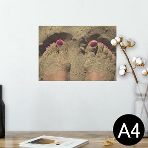 |X^[ EH[XebJ[ V[XebJ[  210×297mm A4 ʐ^ tHg  CeA   wall sticker poster 025966 l@r[`@@}jLA