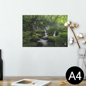 |X^[ EH[XebJ[ V[XebJ[  210×297mm A4 ʐ^ tHg  CeA   wall sticker poster 025978 Xс@@R@