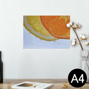 |X^[ EH[XebJ[ V[XebJ[  210×297mm A4 ʐ^ tHg  CeA   wall sticker poster 026018 @IW@k@t[c@ʕ