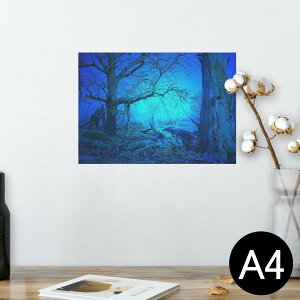 |X^[ EH[XebJ[ V[XebJ[  210×297mm A4 ʐ^ tHg  CeA   wall sticker poster 026062 Xс@i