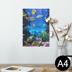 楽天市場 魚 ポスター インテリア 寝具 収納 の通販 楽天市場 魚 ポスター インテリア 寝具 収納 の通販
