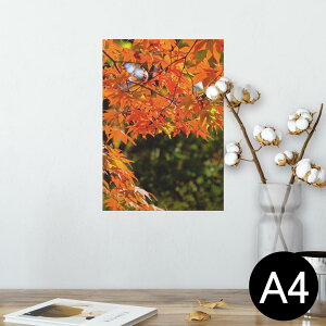 |X^[ EH[XebJ[ V[XebJ[  210×297mm A4 ʐ^ tHg  CeA   wall sticker poster 004615 gt@H@i