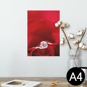 |X^[ EH[XebJ[ V[XebJ[  210×297mm A4 ʐ^ tHg  CeA   wall sticker poster 005136 ԁ@wց@KN