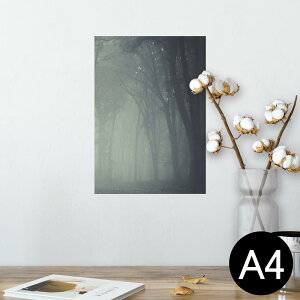 |X^[ EH[XebJ[ V[XebJ[  210×297mm A4 ʐ^ tHg  CeA   wall sticker poster 005899 ʐ^@X@