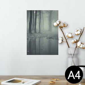 |X^[ EH[XebJ[ V[XebJ[  210×297mm A4 ʐ^ tHg  CeA   wall sticker poster 005900 ʐ^@X@