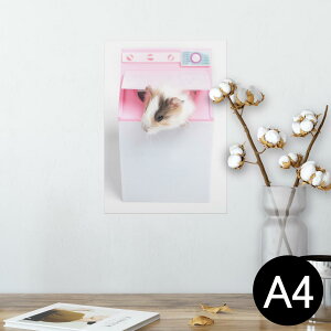 |X^[ EH[XebJ[ V[XebJ[  210×297mm A4 ʐ^ tHg  CeA   wall sticker poster 006501 Aj} ʐ^@nX^[@