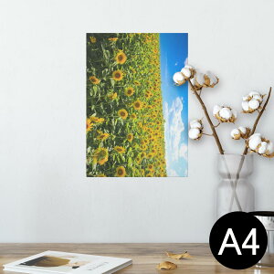 |X^[ EH[XebJ[ V[XebJ[  210×297mm A4 ʐ^ tHg  CeA   wall sticker poster 007936 ʐ^@ԁ@@@Ђ܂