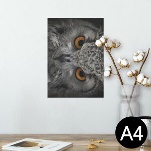|X^[ EH[XebJ[ V[XebJ[  210×297mm A4 ʐ^ tHg  CeA   wall sticker poster 007937 ʐ^@tNE@@ubN