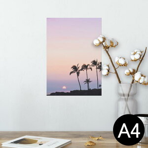 |X^[ EH[XebJ[ V[XebJ[  210×297mm A4 ʐ^ tHg  CeA   wall sticker poster 009393 i@iF@ʐ^