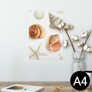 |X^[ EH[XebJ[ V[XebJ[  210×297mm A4 ʐ^ tHg  CeA   wall sticker poster 009662 Lk@C@l