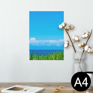 |X^[ EH[XebJ[ V[XebJ[  210×297mm A4 ʐ^ tHg  CeA   wall sticker poster 009748 i@@C@ʐ^