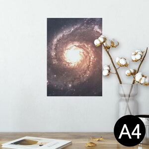 |X^[ EH[XebJ[ V[XebJ[  210×297mm A4 ʐ^ tHg  CeA   wall sticker poster 010185 @F@i