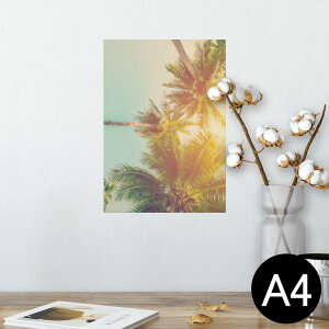 |X^[ EH[XebJ[ V[XebJ[  210×297mm A4 ʐ^ tHg  CeA   wall sticker poster 010529 V̖؁@i