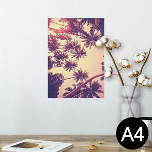 |X^[ EH[XebJ[ V[XebJ[  210×297mm A4 ʐ^ tHg  CeA   wall sticker poster 011308 ā@V̖؁@[