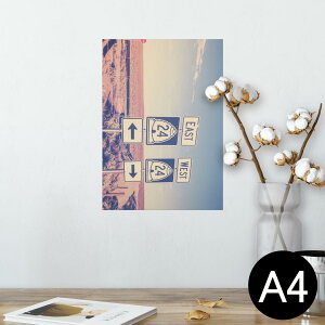 |X^[ EH[XebJ[ V[XebJ[  210×297mm A4 ʐ^ tHg  CeA   wall sticker poster 011332 O@i@ʐ^