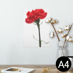 |X^[ EH[XebJ[ V[XebJ[  210×297mm A4 ʐ^ tHg  CeA   wall sticker poster 012928 ̓@J[l[V@