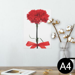 |X^[ EH[XebJ[ V[XebJ[  210×297mm A4 ʐ^ tHg  CeA   wall sticker poster 012929 ̓@J[l[V@