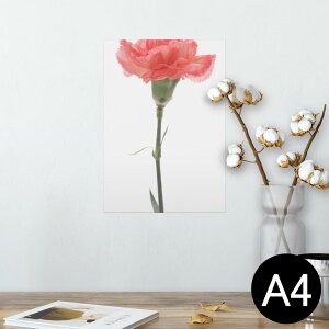 |X^[ EH[XebJ[ V[XebJ[  210×297mm A4 ʐ^ tHg  CeA   wall sticker poster 012935 ̓@J[l[V@