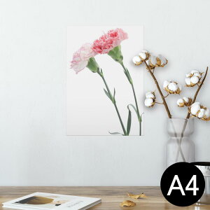 |X^[ EH[XebJ[ V[XebJ[  210×297mm A4 ʐ^ tHg  CeA   wall sticker poster 012938 ̓@J[l[V@